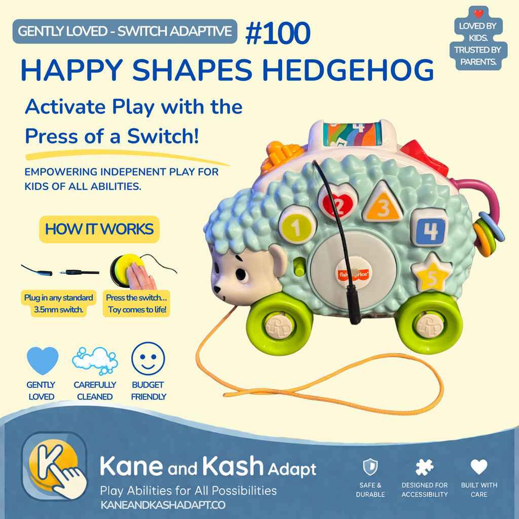Happy Shapes Hedgehog #100- Gently Loved
