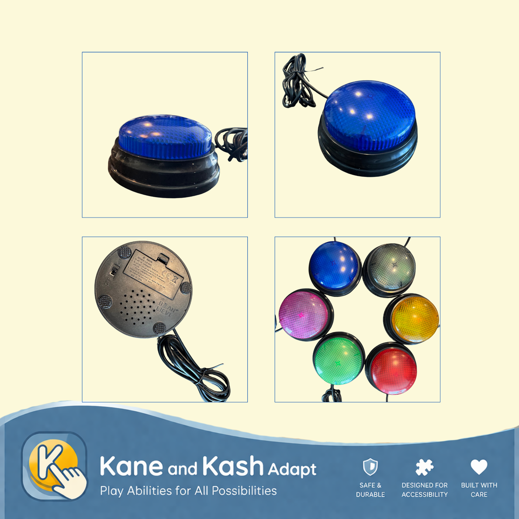 Standard BLUE Switch