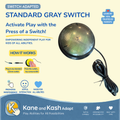 Standard GRAY Switch