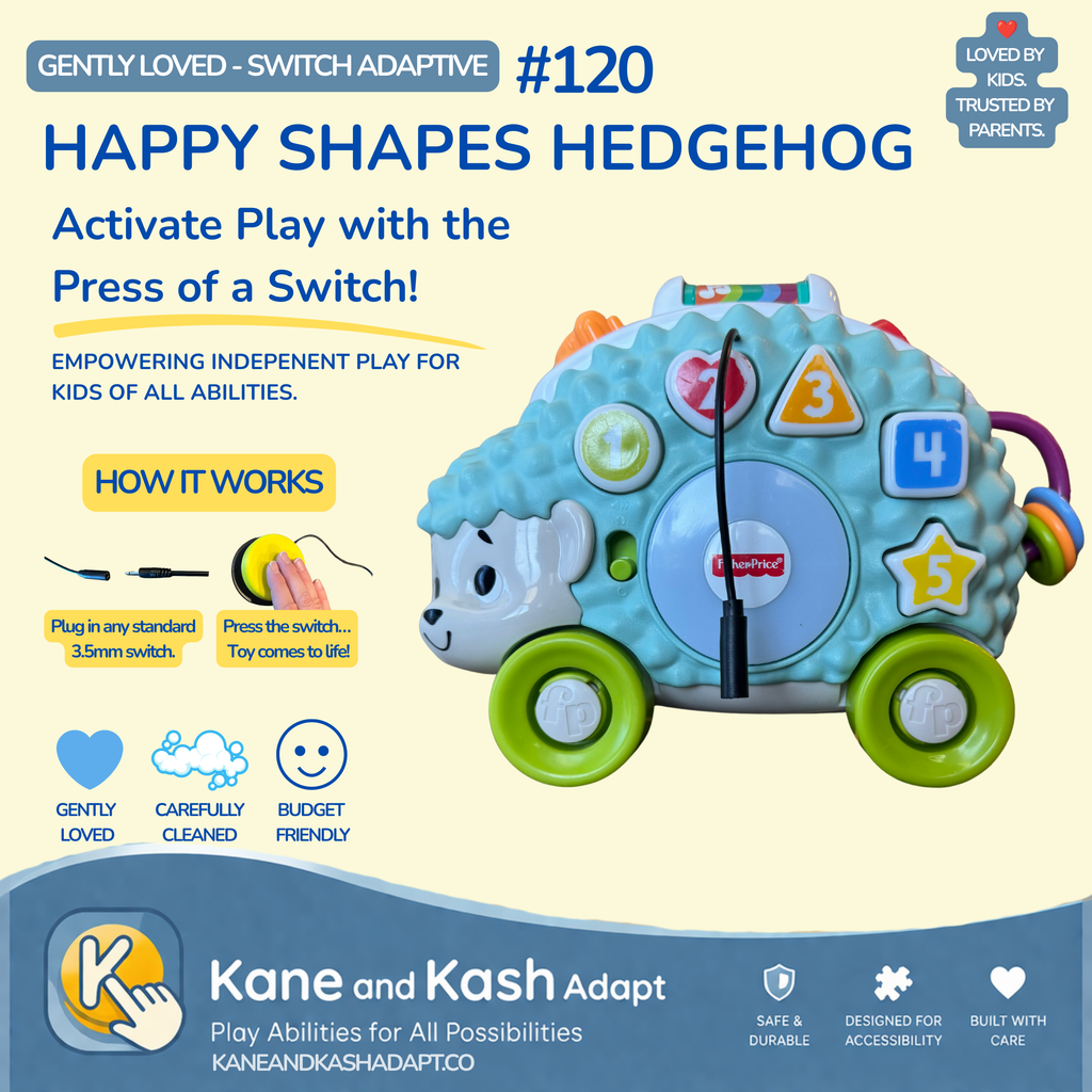 Switch Adapted Happy Shapes Hedgehog #120- Gently Loved