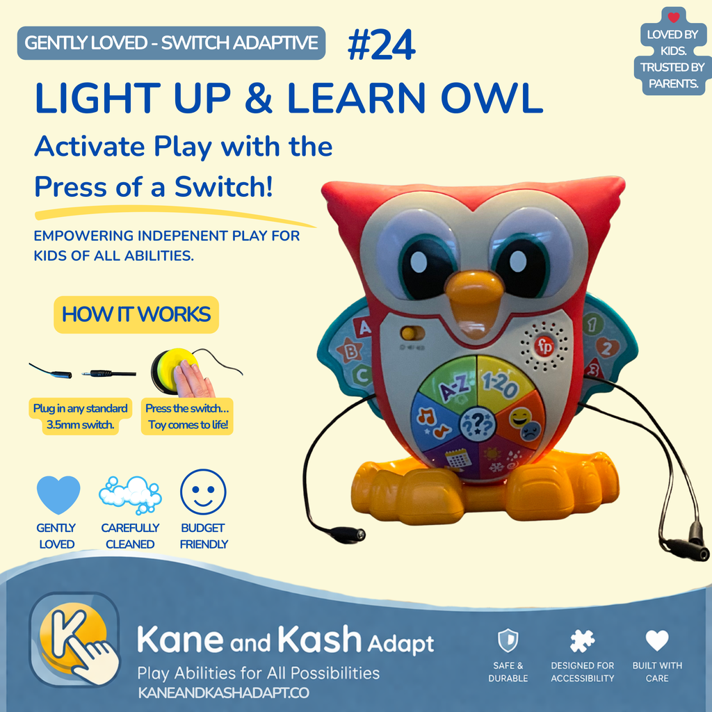 Light Up & Learn Owl #24