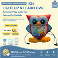 Light Up & Learn Owl #24